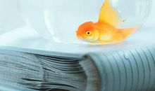 形容学业很苦但又很开心的句子