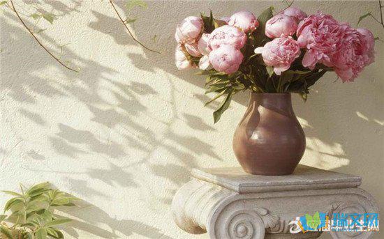 在生活中总有平淡而温暖的时期