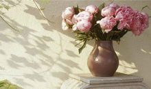 关于生活奔波的句子