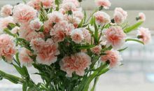 每天都特别开心的句子