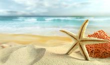 关于海滩的优美句子