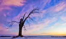 朋友圈晚安的唯美说说 发朋友圈的晚安文艺句子