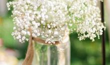 表述家的开心句子