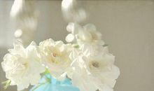 情侣短信问候语