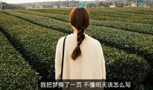 一段很现实的话适合发朋友圈