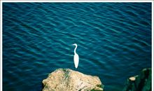 用环境来渲染开心的句子