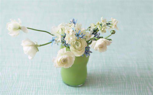 让我们看一下编辑编辑关于金钱但没有感情的句子