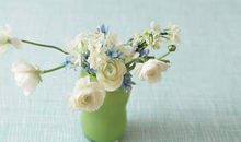 眼里只有钱没有亲情的句子