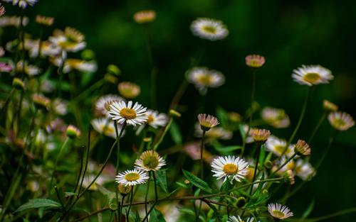 编辑编辑了一些有关快乐工作的正面能量句子