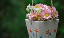 用英语表达亲情的句子