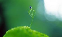 计划永远赶不上变化的说说