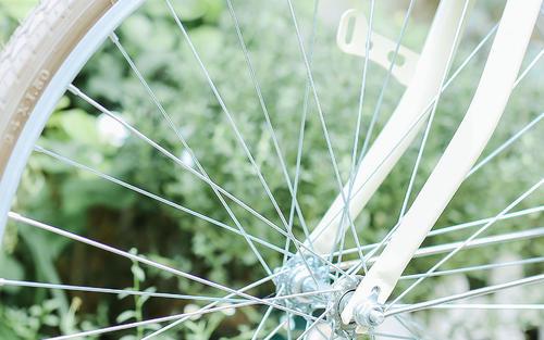 让我们看一下小编为表达感激之情而写的句子