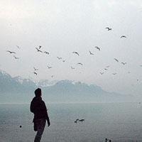 即使我感到寒冷