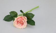 感恩老公陪伴的句子