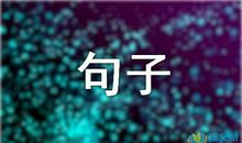 人物描写的句子