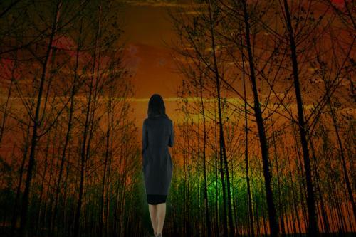 无论是男人还是女人