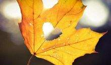 爱你一辈子的幸福句子