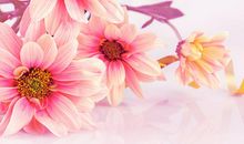 开心的像个孩子的句子