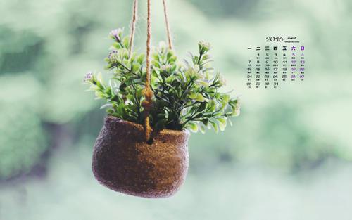 希望大家都喜欢