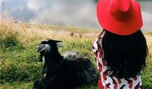 形容白天开心晚上丧的句子