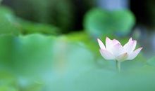 要开心不要烦恼的句子