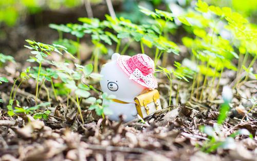 请谈谈您的心情