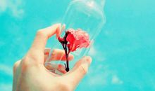 关于睡美容觉的微信说说 晚安睡个美容觉的说说