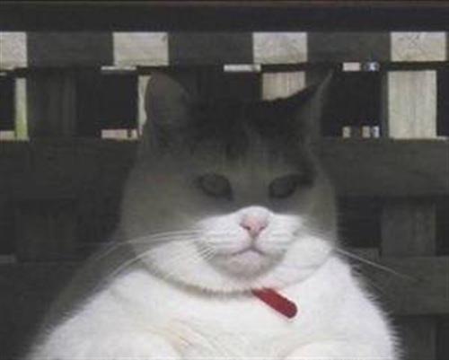 熬夜会使我们长痘痘