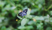 做洒脱开心的人的句子