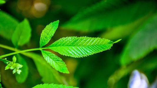 编辑编辑了一些句子