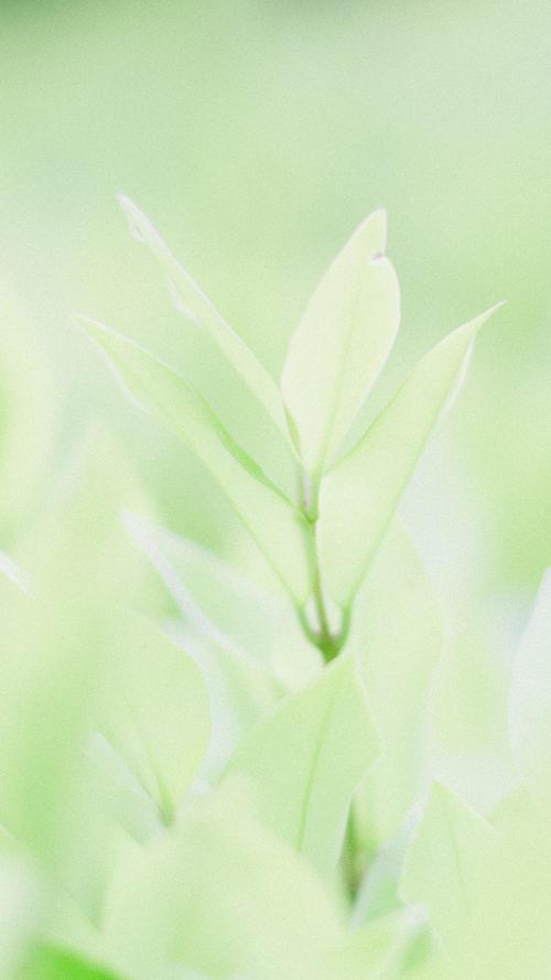 如何用爱人的快乐时光写爱语