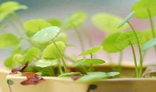 形容让老婆很开心的句子