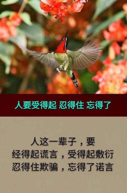 因为知道这是不可能的