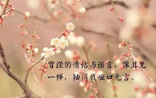 但我仍然期待您的回应