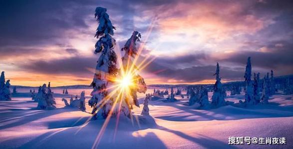 所以我决定与你共度一生