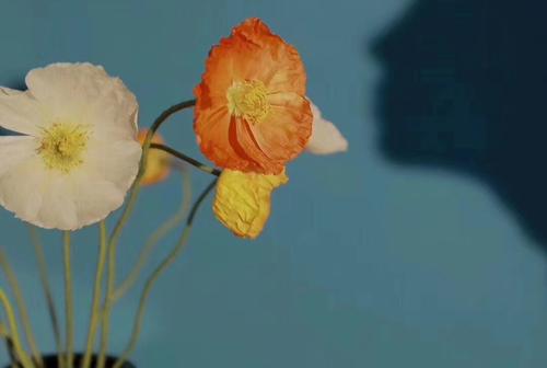 我强迫自己不要后悔