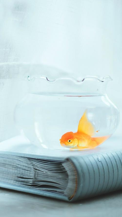 当人们总是快乐和不快乐