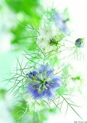 用快乐的信号为您设置一个快乐的频道