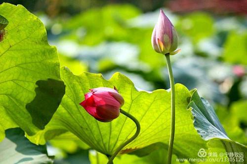 成长会让人们理解