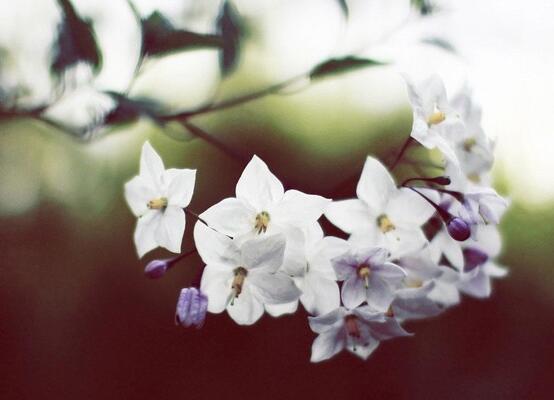 不需要任何借口