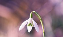 发自内心的开心的句子