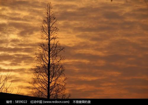 让我们看一下小编撰写的有关描述金钱和感情的句子