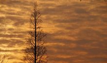 形容金钱与亲情的句子