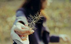 有些人会慢慢模糊你的心