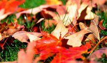 2020感人的爱情句子