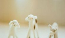 简简单单的个性签名