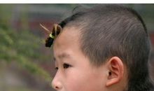 描写小男孩的外貌