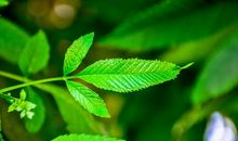 精选讨老婆开心的句子