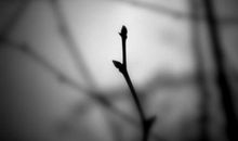 对女朋友有点失望的句子