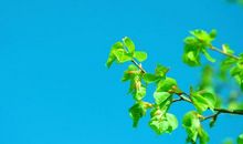 一些亲情的短句子